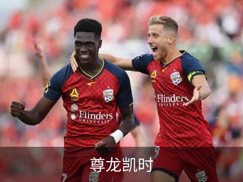 关于尊龙凯时